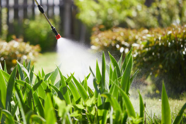 24/7 Emergency Mosquito Control experts in Ackerman, MS
