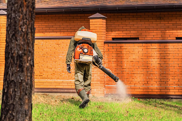 Top rated local Mosquito Control specialists in Ackerman, MS